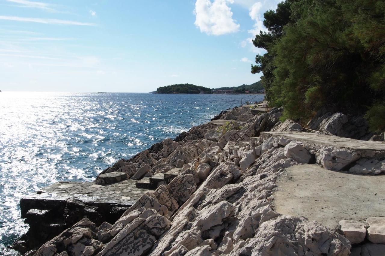 Apartments By The Sea Prizba, Korcula - 9255 Экстерьер фото